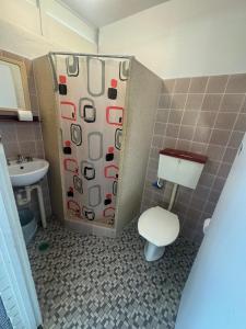 ein Badezimmer mit Toilette und Duschvorhang in der Unterkunft Mayfield Motel in Mayfield