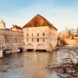 een groot stenen gebouw naast een rivier bij L élégance centre historique Dole 70 m2 in Dole