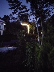 een huis verlicht in de nacht met een boom bij LilliputHaven Treehut in Sultan Bathery