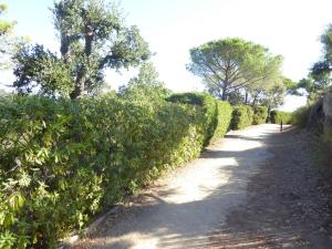 Gallery image of Ferienhaus an der Cote d'Azur in Grimaud