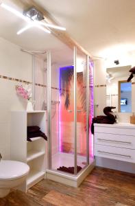 een badkamer met een douche, toilet en wastafel bij Elferhof Ferienwohnungen in Mohlsdorf