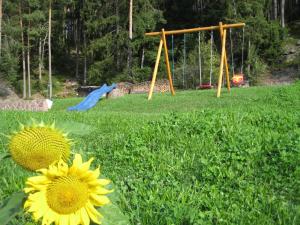 カステルロットにあるPolzhofの回遊式庭のある畑の黄花