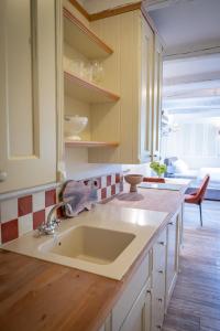 a kitchen with a sink and a counter at Apartmaji Hiša kranjske čebele in Višnja Gora +57 photos