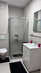 a bathroom with a shower and a toilet and a sink at Vrdnik Residence - Apartmani Anonim in Vrdnik +11 photos