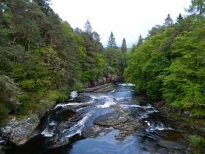 Gallery image of Forest Glen Holiday Park in Invermoriston