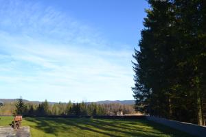 Příroda nedaleko chaty + 6 fotografií