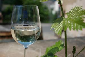 a glass of wine sitting next to a plant at Ferienwohnungen Schneider-Kettern in Neumagen-Dhron