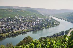 a view of a river with a town and a city at Ferienwohnungen Schneider-Kettern in Neumagen-Dhron