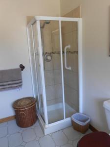 a shower with a glass door in a bathroom at Birchdale House B&B in Rathdrum