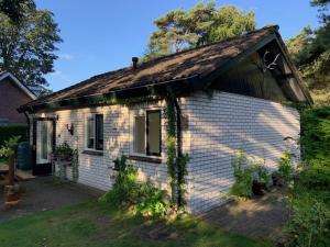 En have udenfor Vakantiehuisje Specht