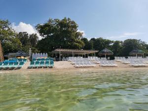 een groep stoelen op een strand met het water bij Sunny dream in Sandy Bay