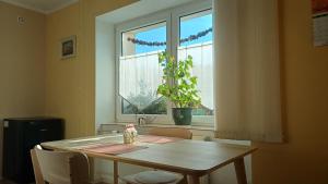 Fotografie z fotogalerie ubytování Apartmán Pod Parkem v destinaci Karlovy Vary + 11 fotografií