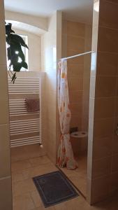 Koupelna v ubytování Apartmán Pod Parkem