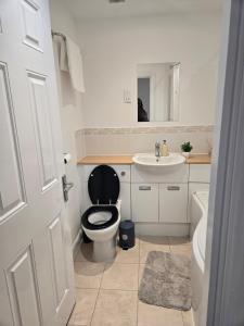 La salle de bains est pourvue de toilettes noires et d'un lavabo. dans l'établissement Duxford Haven, à Duxford 18 autres photos