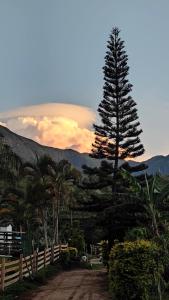 un grande pino di fronte a una recinzione di chalé cilla a Caparaó Velho Altre 10 foto