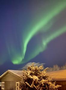 Eine Aurora im Himmel über einem Haus und einem Baum in der Unterkunft Wake up to the silence and beauty of the Lyngen Alps in Indre Tomasjord
