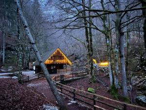 Příroda nedaleko apartmánu