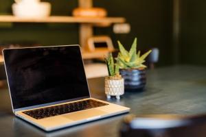 Et tv og/eller underholdning på Boutique vakantiehuis Het Stalhuys