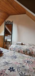 een slaapkamer met twee bedden en een spiegel aan de muur bij Maison au bord du Blavet in Le Pener +21 foto's