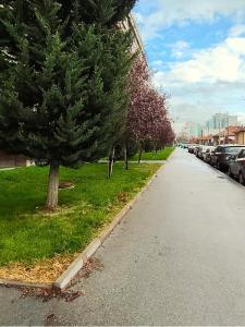 een boom aan de kant van een straat met geparkeerde auto's bij MIA Apartment in Yambol