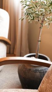 Billede fra billedgalleriet på Schoolhouse Snug i Moreton-in-Marsh