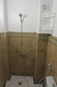een badkamer met douche en toilet bij Riad Dalal in Fès
