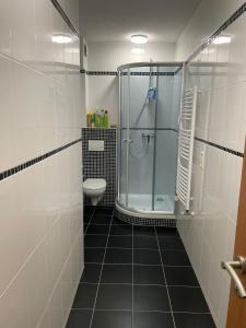 Koupelna v ubytování Ferienhaus Duran nähe Europa Park - 4 Schlafzimmer - 9 Betten