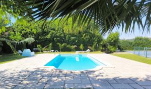 une piscine dans une cour avec un palmier dans l'établissement Casa da Aldeia - Monte Redondo, à Figueira de Lorvão