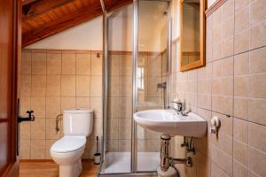 een badkamer met een toilet, een wastafel en een douche bij La Llosona in Caño +19 foto's