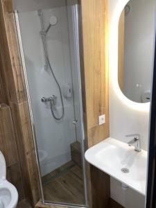 a bathroom with a shower and a sink at Hôtel Icare in Toulouse