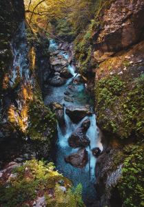 Naturlandskabet i nærheden af feriehuset