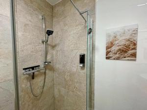 a shower with a glass door in a bathroom at 'GoldPath' OldTown - Apartments Passau in Passau +31 photos