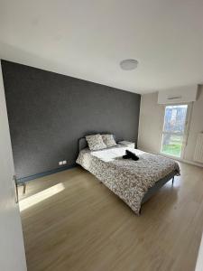 een slaapkamer met een bed met een kat erop bij T3 proche aéroport in Saint-Jacques-de-la-Lande