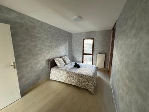 een slaapkamer met een bed met een kat erop bij T3 proche aéroport in Saint-Jacques-de-la-Lande