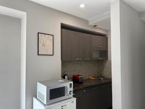 een keuken met een magnetron op een aanrecht bij New Gudauri Loft 2 in Goedaoeri