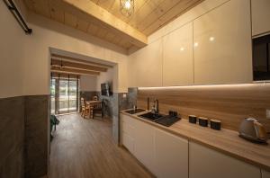 a kitchen with a sink and a counter top at Apartamenty Premium Rysulówka in Kościelisko