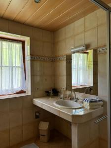 un bagno con lavandino e specchio di Appartement Pilzhof a Filzmoos Altre 80 foto