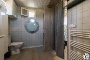 a bathroom with a toilet and a mirror at Le panier bio de noé in Noé +20 photos