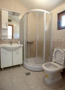 a bathroom with a shower and a toilet and a sink at Apartman in Danilovgrad