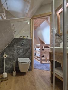 un bagno con un water e un lavandino di Kozie Turnie a Poronin Altre 45 foto