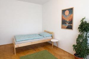 Fotografie z fotogalerie ubytování Apartmán František v destinaci Loštice + 2 fotografie