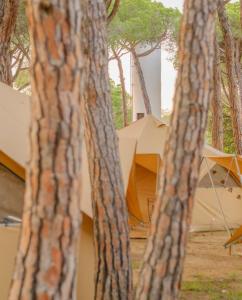 Billede fra billedgalleriet på El Glamp Internacional Palamos i Palamós