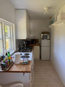 TrensumForrest cottage by the lake的一个小厨房，里面有水槽和炉灶。