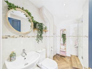 a bathroom with a white toilet and a mirror at Smithy Stables in Barnard Castle +37 photos