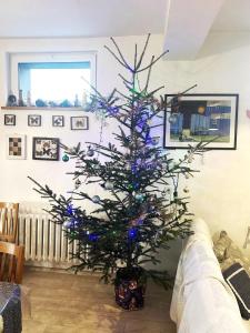 Et tv og/eller underholdning på Istebna715