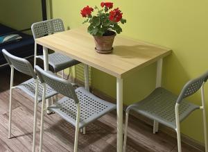 une table et des chaises avec une plante en pot dans l'établissement Oliwka Hostel, à Varsovie