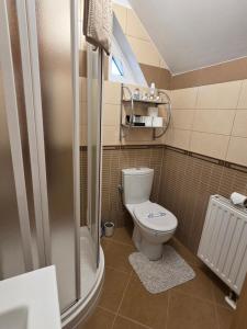 a small bathroom with a toilet and a shower at Smiley Apartment in Sibiu +52 photos