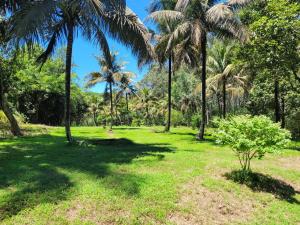 a park with palm trees and green grass at Villa Alicia Vavindrano in Fort Dauphin