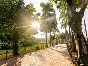 einen Gehweg mit Palmen in einem Park in der Unterkunft Cosme Velho: Luxo e Piscina para 8 Pessoas in Rio de Janeiro