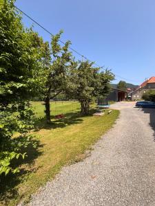 een grindweg met bomen aan de zijkant van een veld bij Style Loft mit Ausblick in Elzach in Elzach